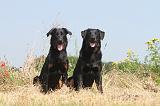 BEAUCERON 002